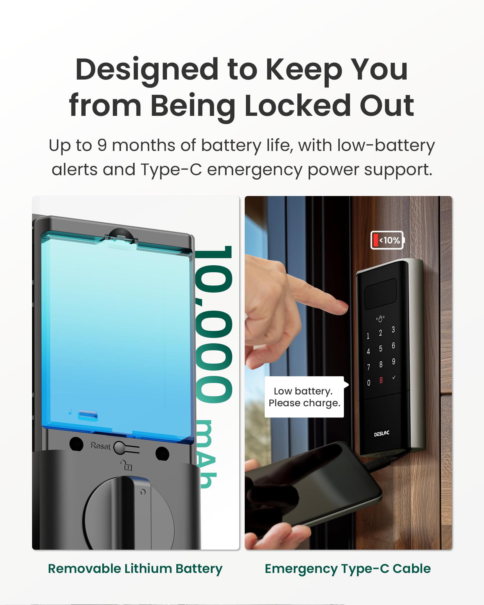 Palm Vein Smart Deadbolt Lock with Keypad, Keyless Entry App Control, Auto-Lock Mechanical Key Backup